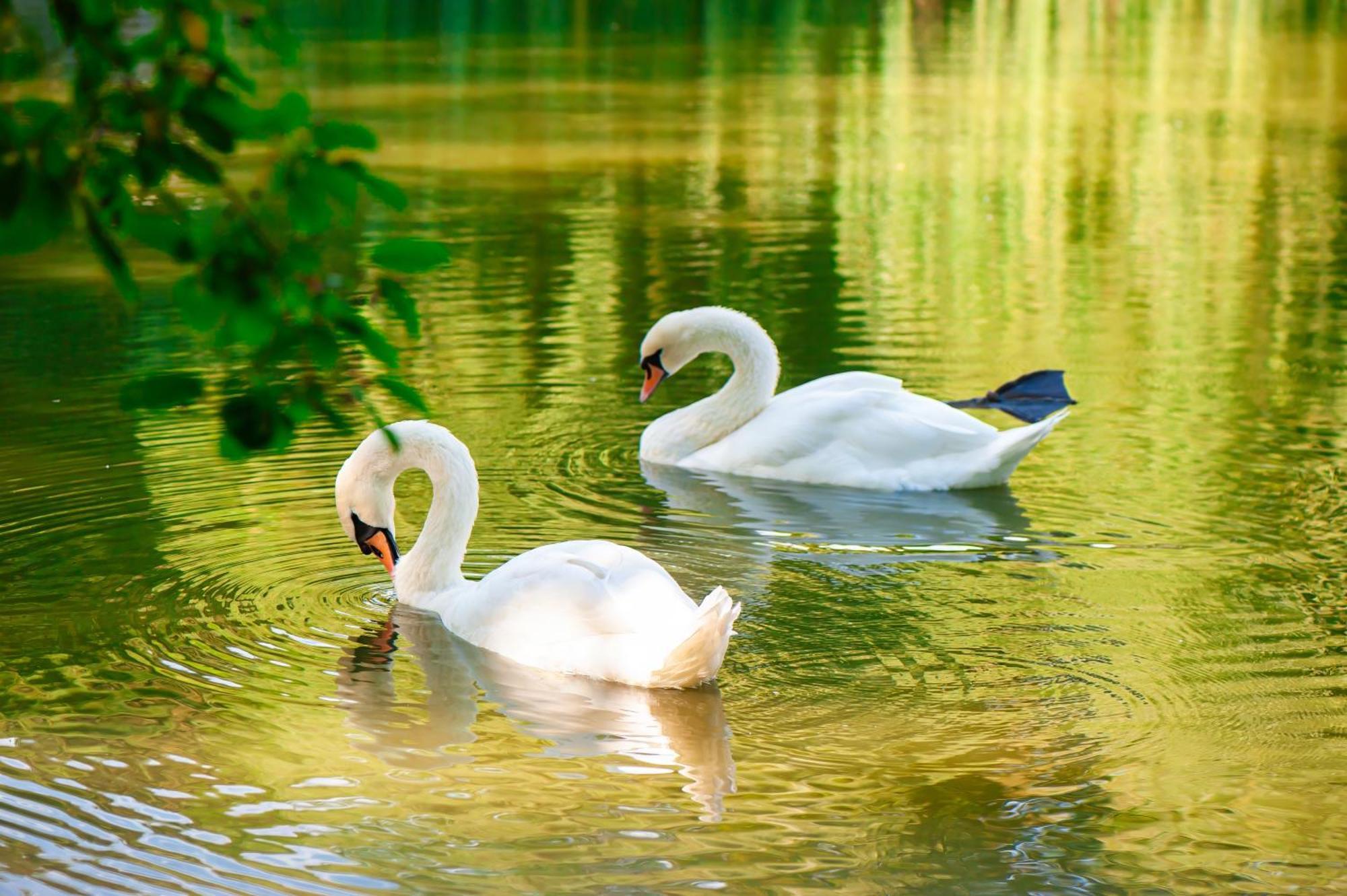 Stilvolle Ferien-Geschaeftswohnung Brandenburger Seenlandschaft Werder  Esterno foto